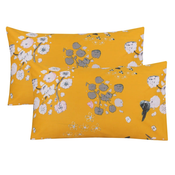 pillow pillows