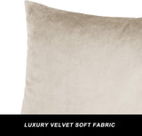 Beige-Velvet Cushion Covers Pack of Two