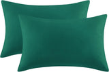 Ferrera Bottle Green Pillow Case-Pack of 2