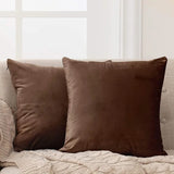 Brown-Velvet Cushion Covers Pack of Two