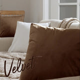 Brown-Velvet Cushion Covers Pack of Two